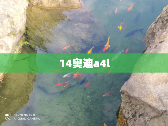 14奥迪a4l