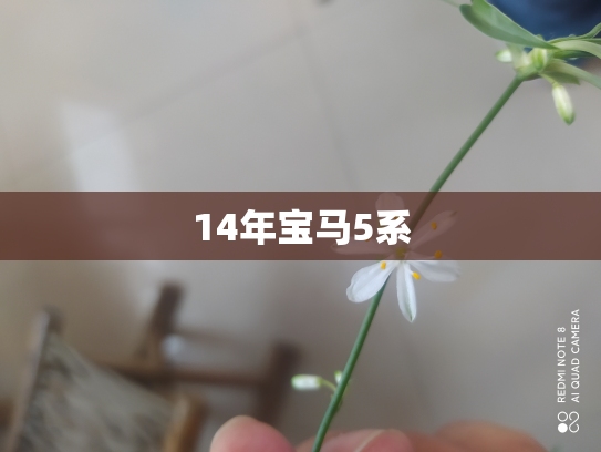 14年宝马5系