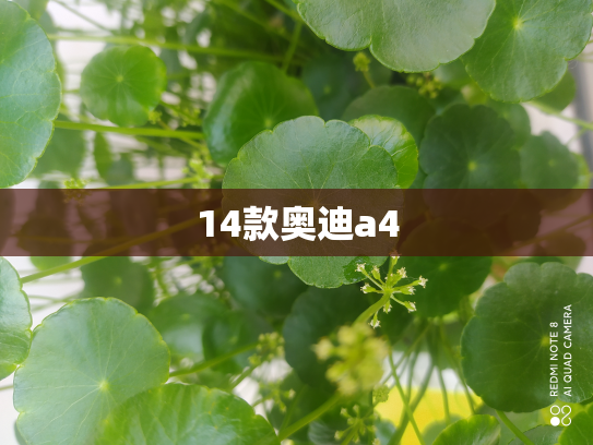 14款奥迪a4