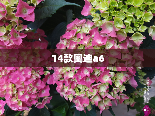 14款奥迪a6
