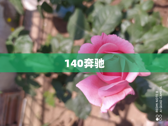 140奔驰