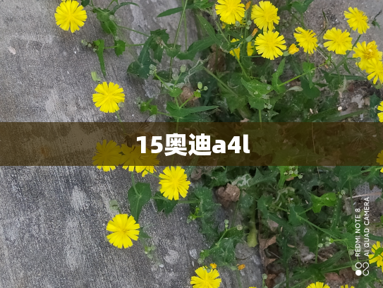 15奥迪a4l