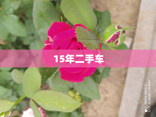 15年二手车