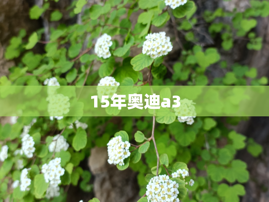 15年奥迪a3