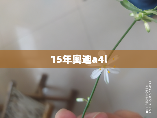 15年奥迪a4l