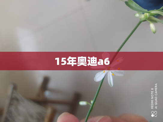 15年奥迪a6