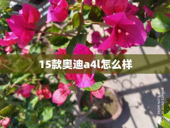 15款奥迪a4l怎么样