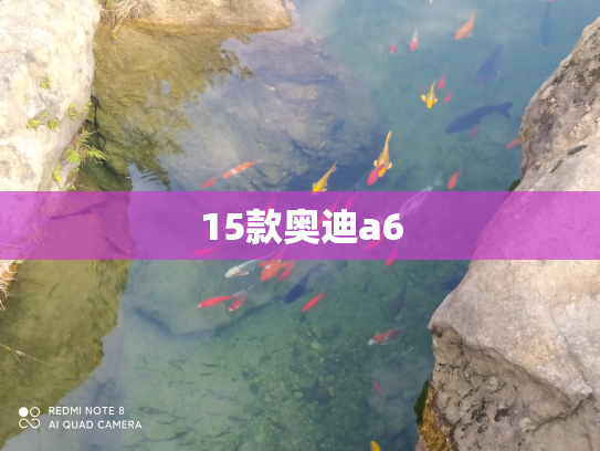 15款奥迪a6