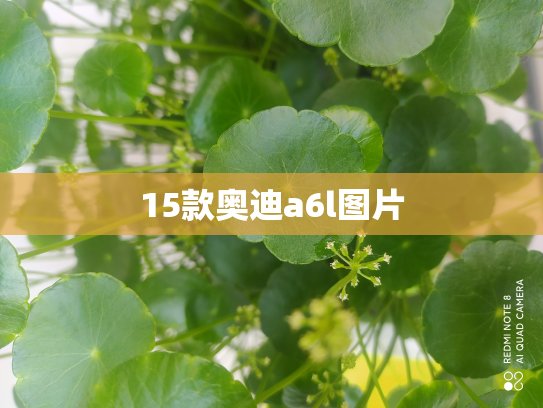15款奥迪a6l图片