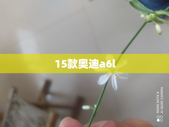 15款奥迪a6l