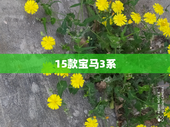 15款宝马3系