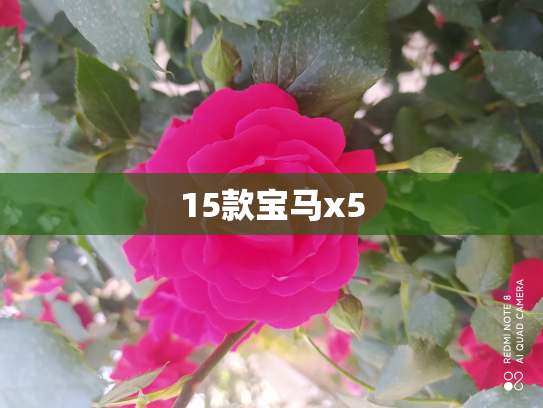 15款宝马x5