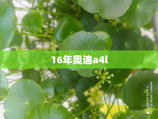16年奥迪a4l