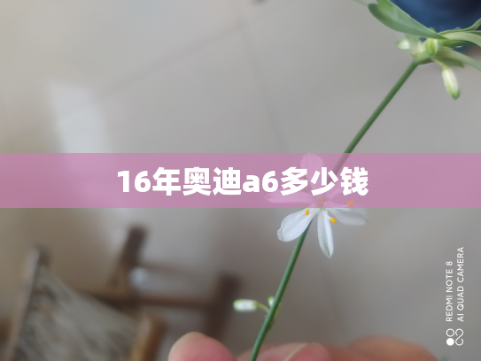 16年奥迪a6多少钱
