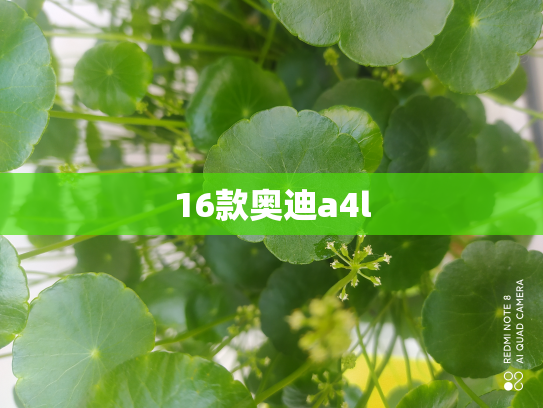 16款奥迪a4l