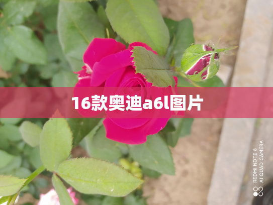 16款奥迪a6l图片