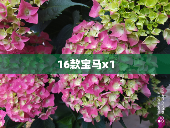 16款宝马x1