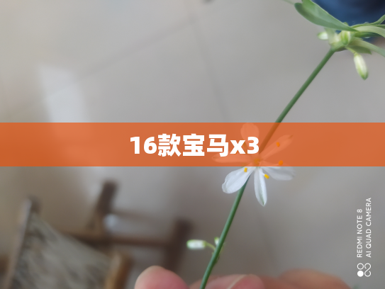 16款宝马x3