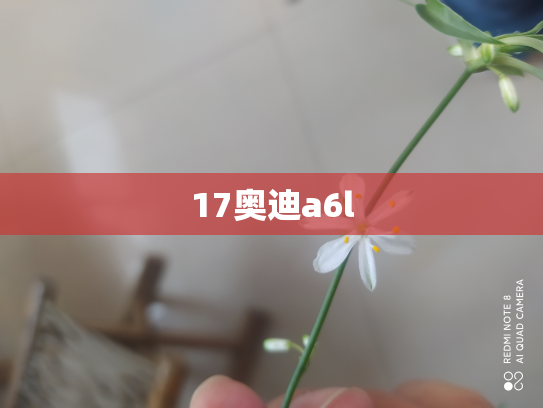 17奥迪a6l