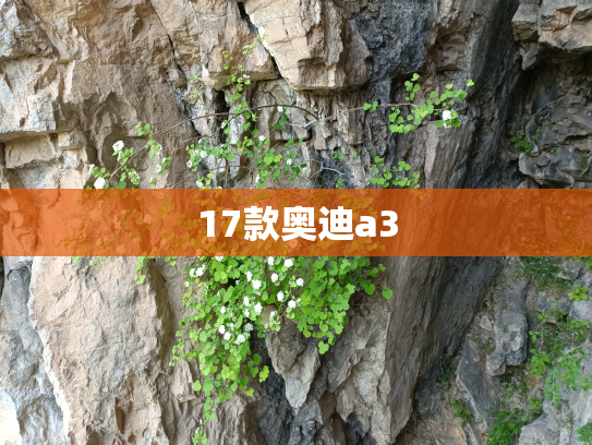 17款奥迪a3