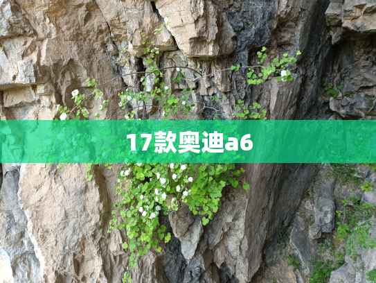 17款奥迪a6