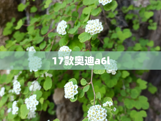 17款奥迪a6l