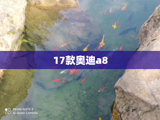 17款奥迪a8
