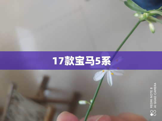 17款宝马5系