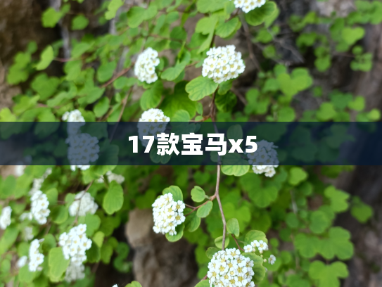 17款宝马x5