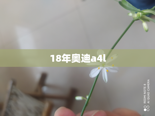 18年奥迪a4l