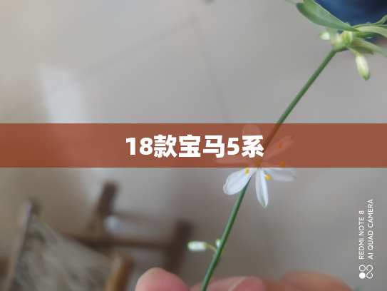 18款宝马5系