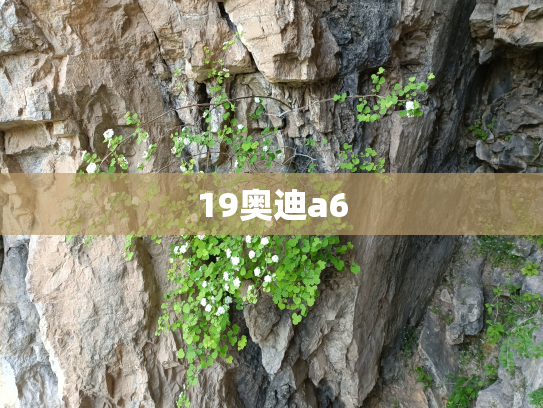 19奥迪a6