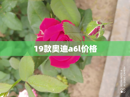 19款奥迪a6l价格