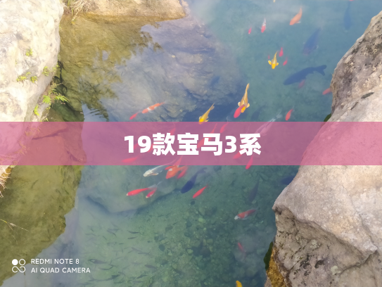 19款宝马3系