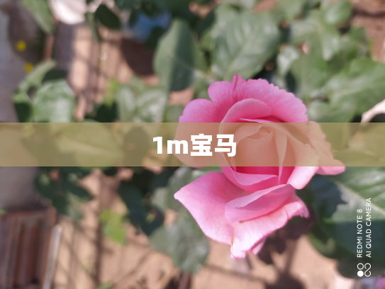 1m宝马