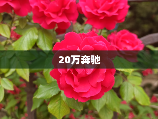 20万奔驰