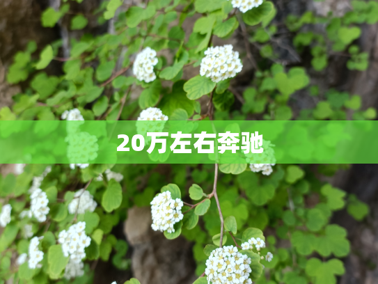 20万左右奔驰