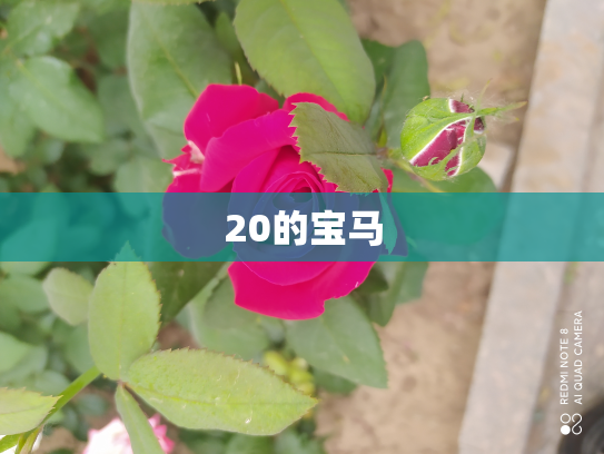 20的宝马