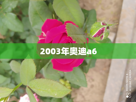 2003年奥迪a6