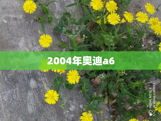 2004年奥迪a6