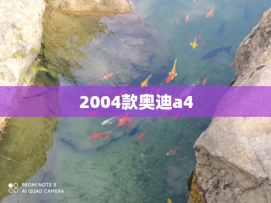 2004款奥迪a4