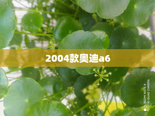 2004款奥迪a6