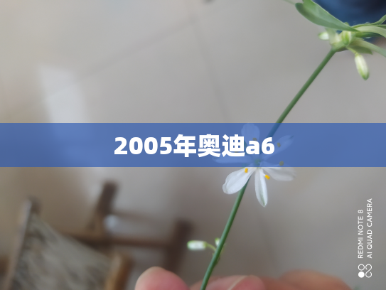 2005年奥迪a6