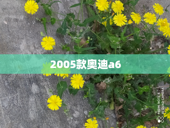 2005款奥迪a6