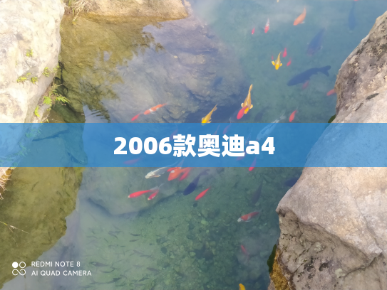 2006款奥迪a4