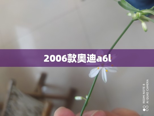 2006款奥迪a6l