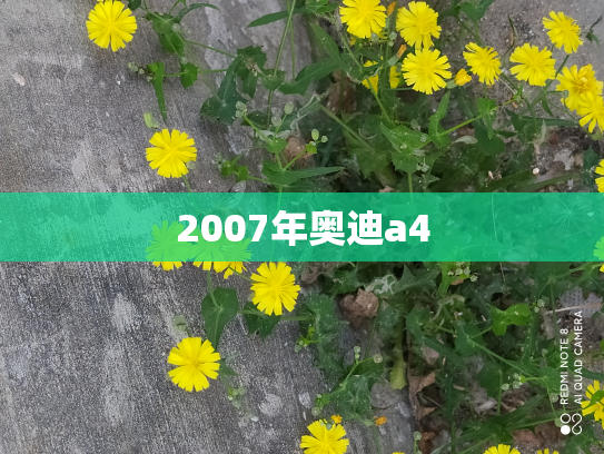 2007年奥迪a4