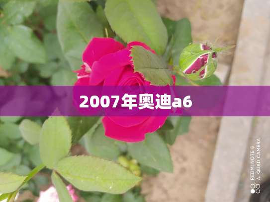 2007年奥迪a6