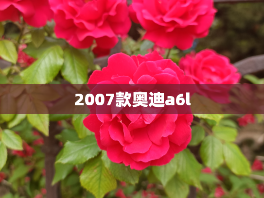 2007款奥迪a6l