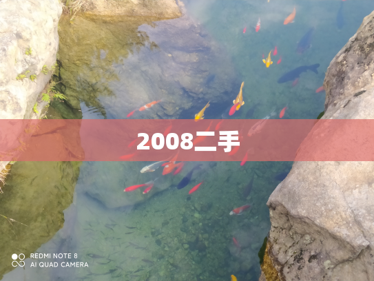 2008二手